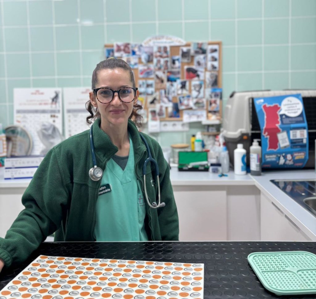 Equipa veterinária Tibi
