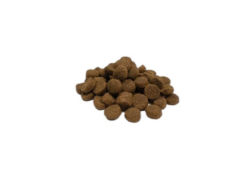 WEEGO Adulto Grain Free Frango - Image 5
